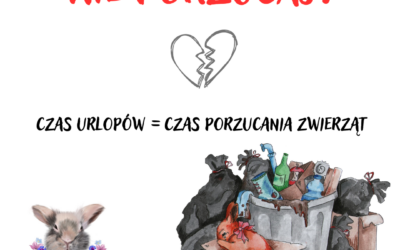 Co zrobić ze zwierzakiem w czasie urlopu?