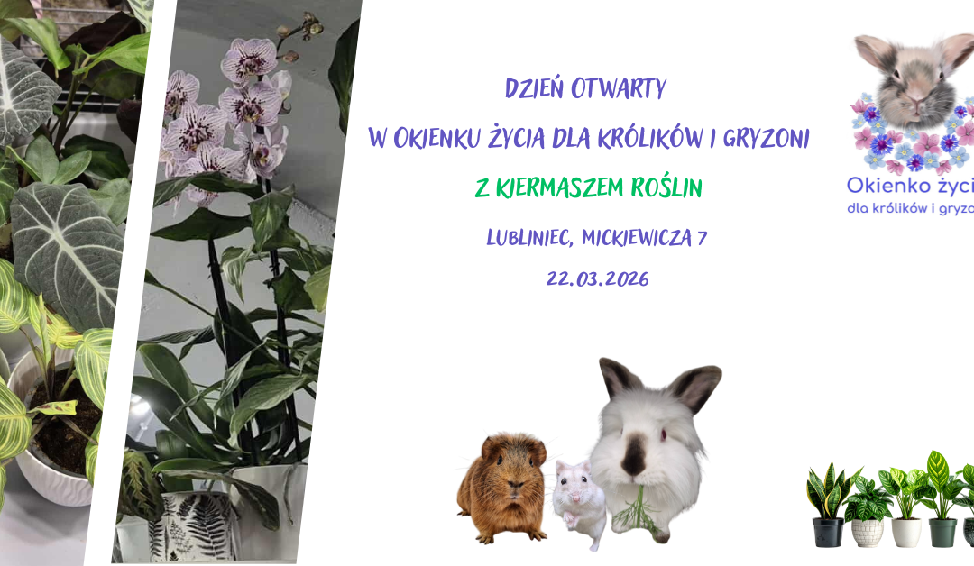 Dzień Otwarty z kiermaszem roślin