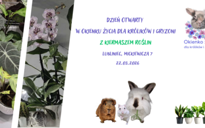 Dzień Otwarty z kiermaszem roślin